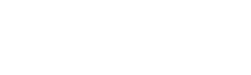 PWDR Vikings logo